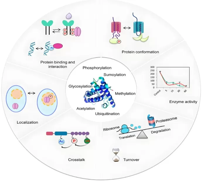 MS-based Proteomics